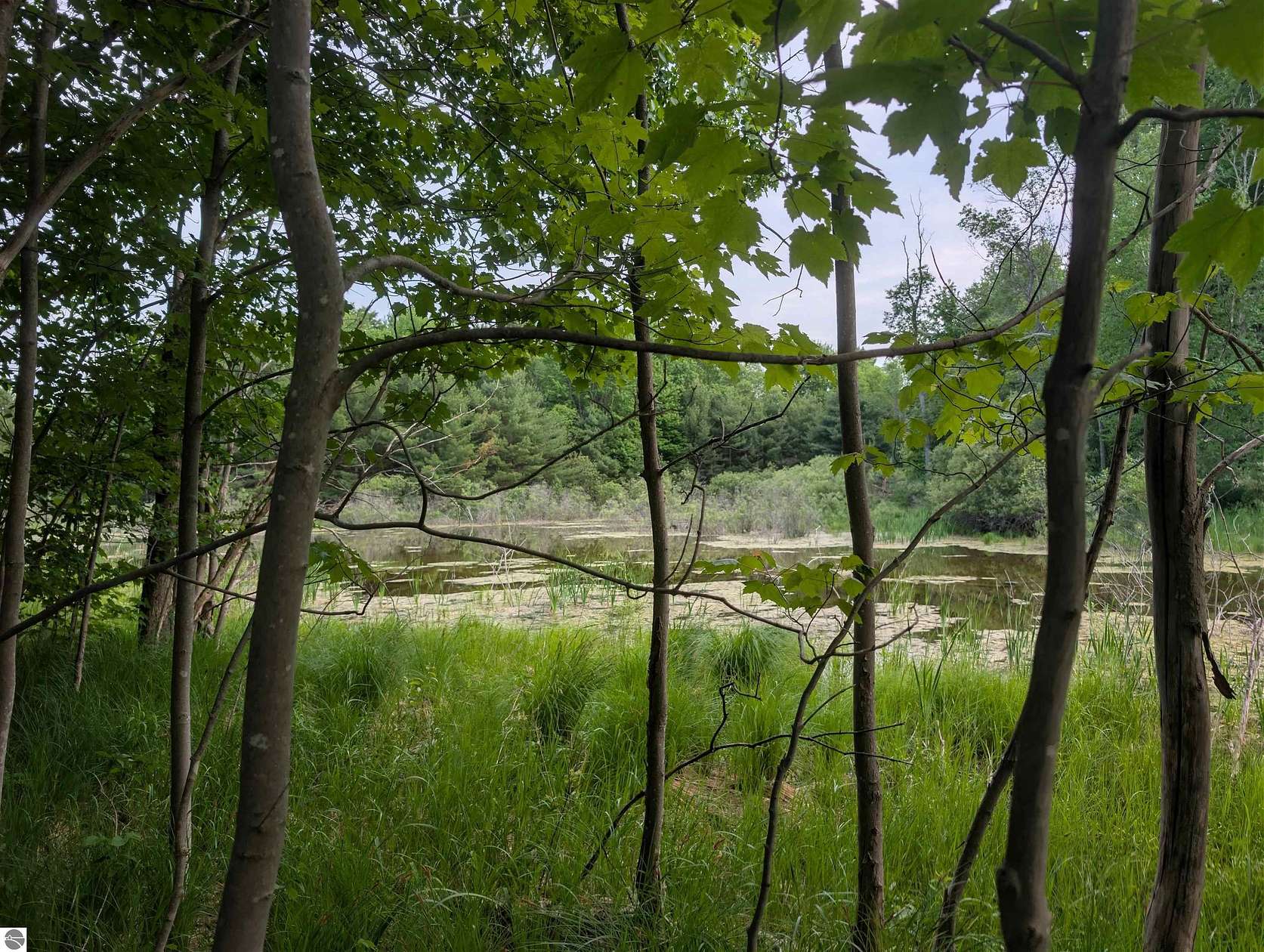 7.74 Acres of Residential Land for Sale in Traverse City, Michigan