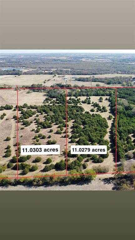82.4 Acres of Land for Sale in Blue Ridge, Texas