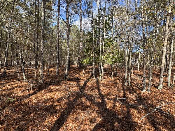 0.97 Acres of Residential Land for Sale in Aiken, South Carolina