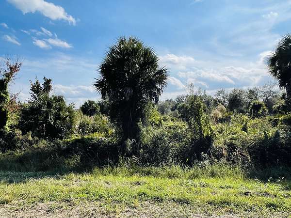 1 Acre of Land for Sale in Okeechobee, Florida