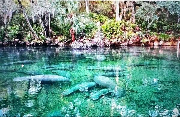 0.17 Acres of Residential Land for Sale in DeLand, Florida