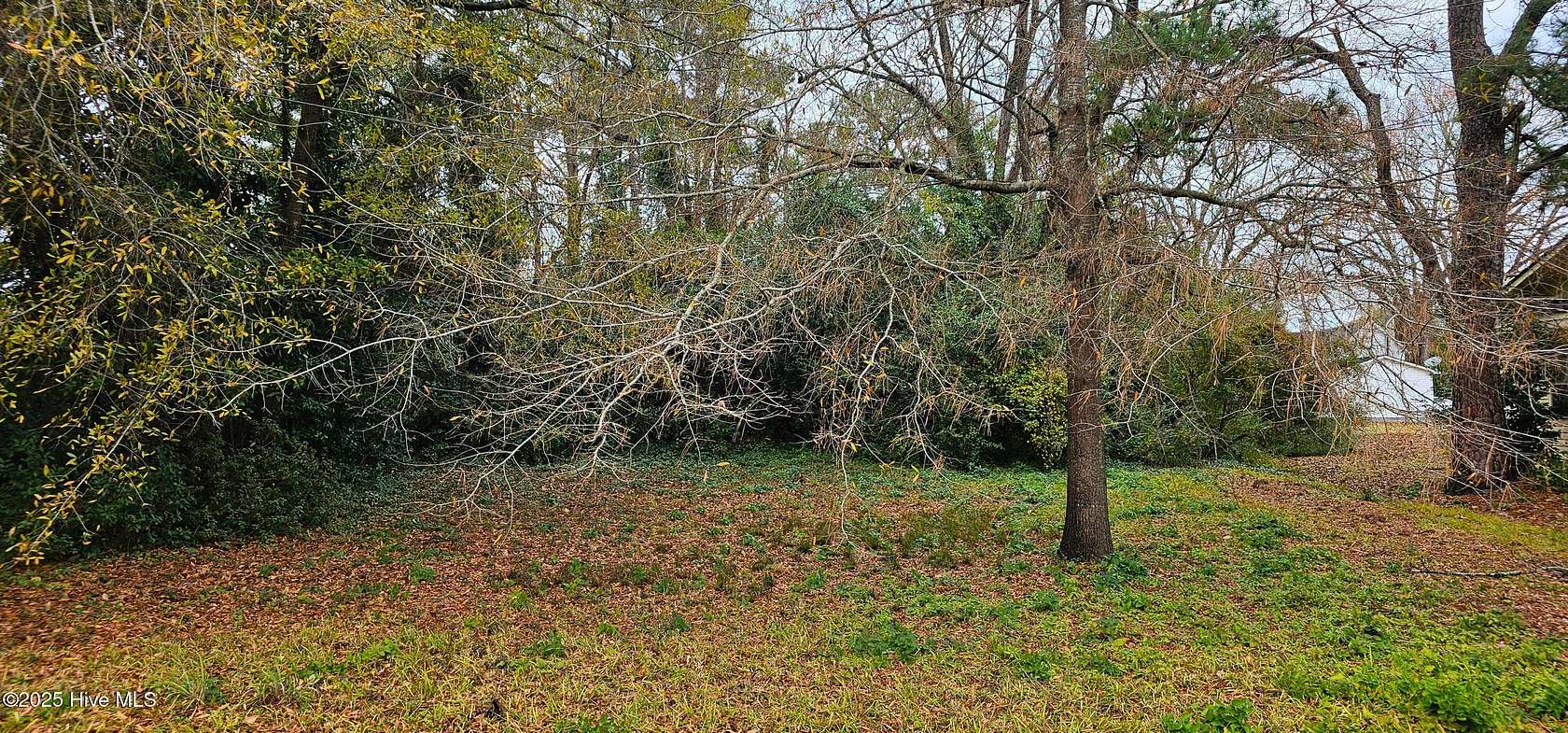 0.38 Acres of Residential Land for Sale in Rose Hill, North Carolina