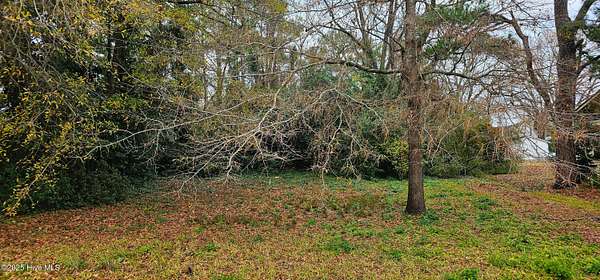 0.38 Acres of Residential Land for Sale in Rose Hill, North Carolina