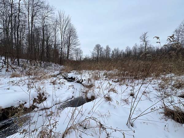 36.5 Acres of Recreational Land for Sale in Linesville, Pennsylvania