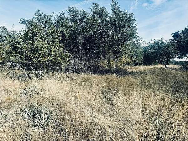 0.56 Acres of Residential Land for Sale in Brownwood, Texas