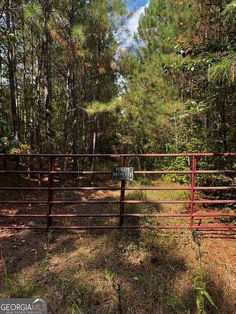 16.2 Acres of Recreational Land for Sale in Hampton, Georgia