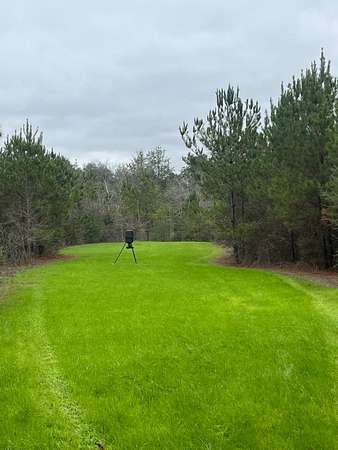 200 Acres of Recreational Land for Sale in Buckatunna, Mississippi