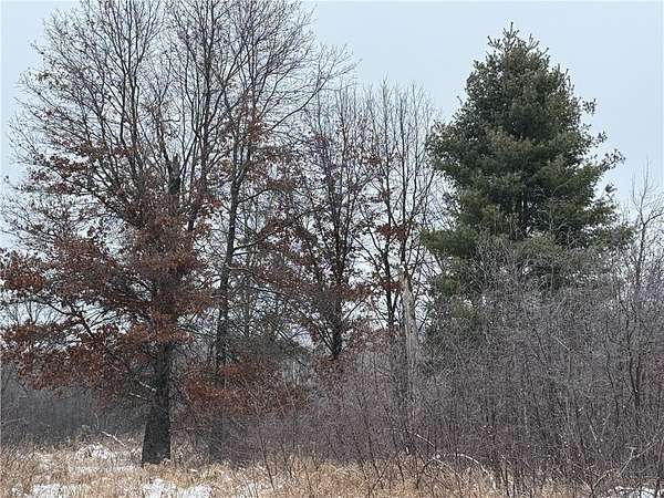 193 Acres of Recreational Land for Sale in Granton, Wisconsin