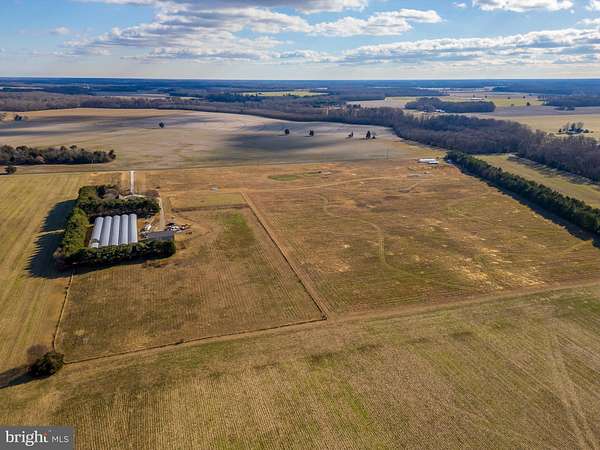 45.1 Acres of Agricultural Land with Home for Sale in Denton, Maryland