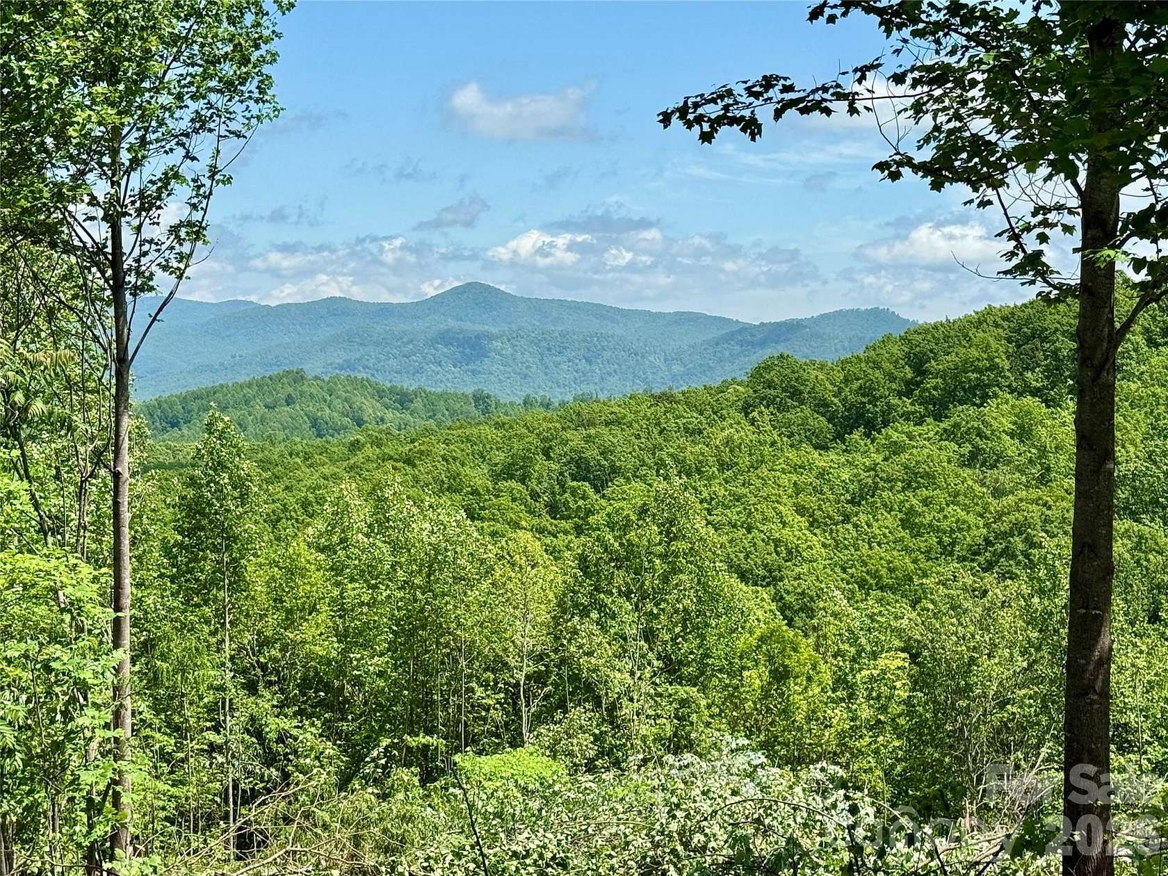 2.4 Acres of Land with Home for Sale in Nebo, North Carolina