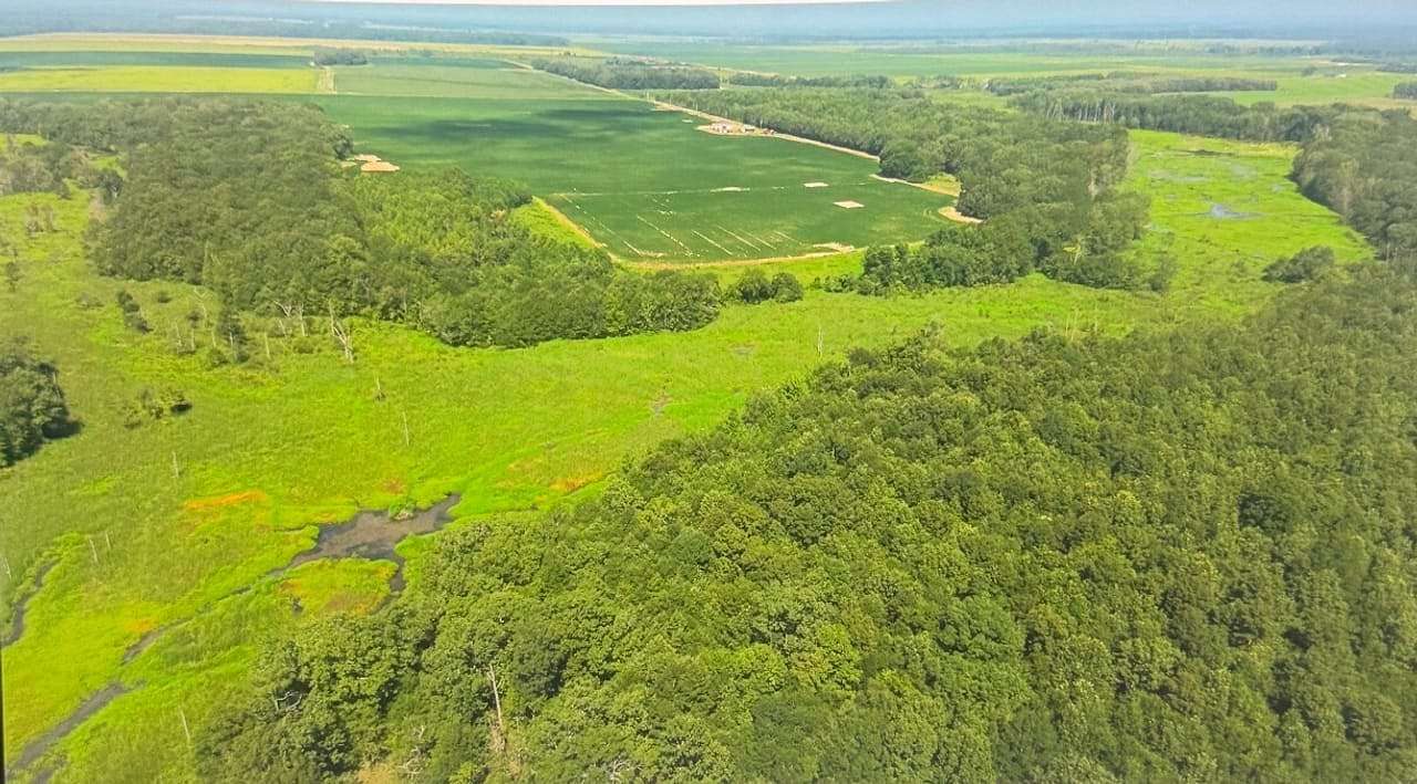 240 Acres of Land with Home for Sale in Des Arc, Arkansas