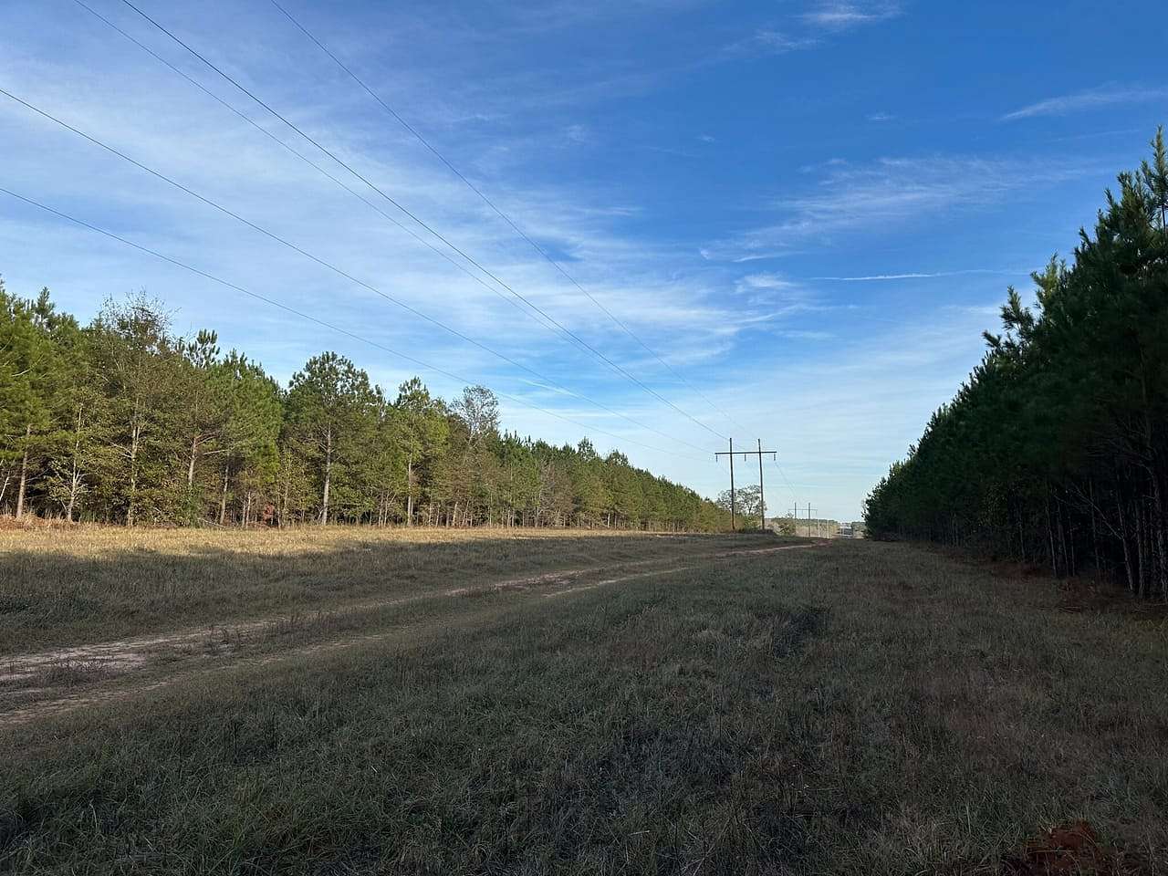 374 Acres of Land for Sale in Americus, Georgia
