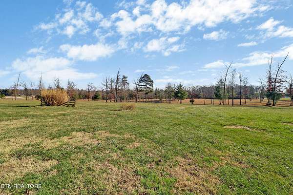 15.8 Acres of Recreational & Residential Land for Sale in Deer Lodge, Tennessee