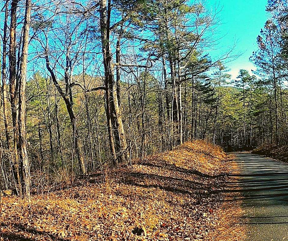 1.39 Acres of Residential Land for Sale in Ranger, Georgia