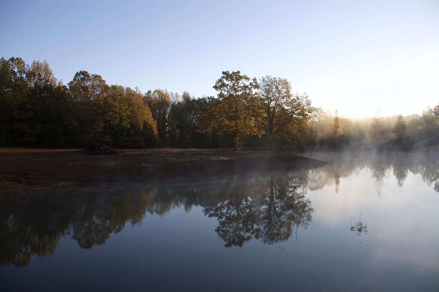 19.6 Acres of Land for Sale in Moscow, Tennessee