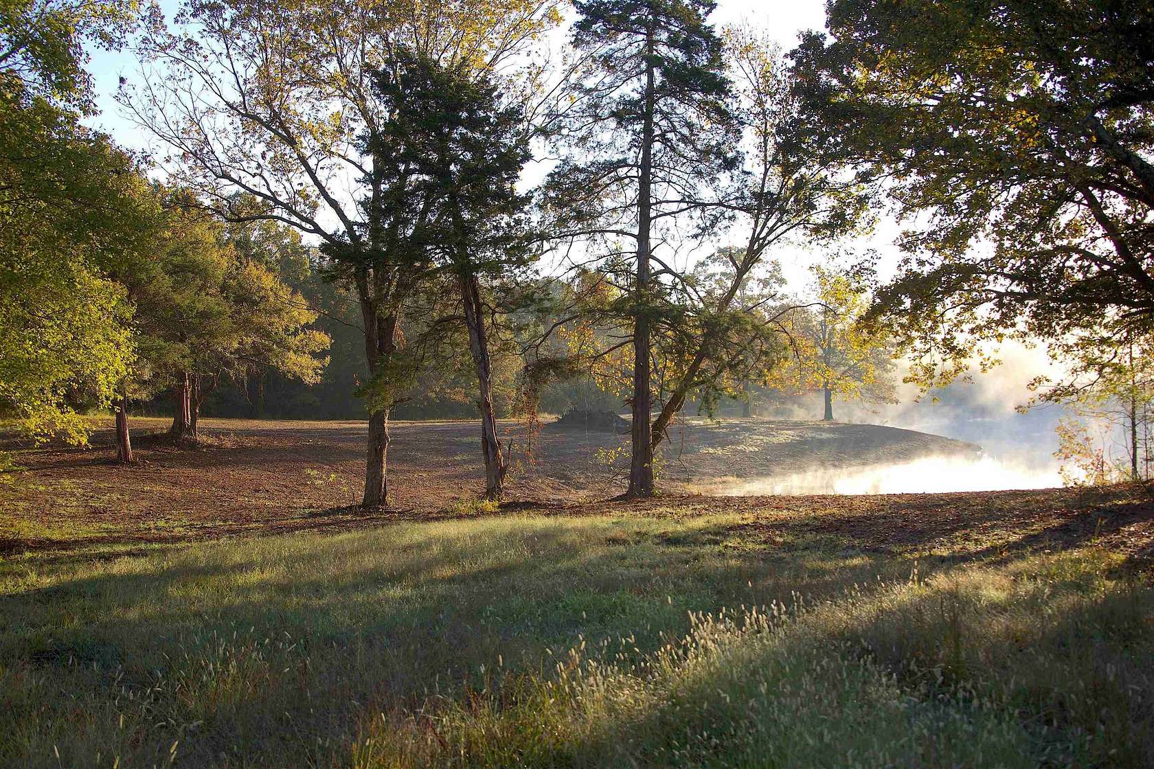 19.6 Acres of Land for Sale in Moscow, Tennessee