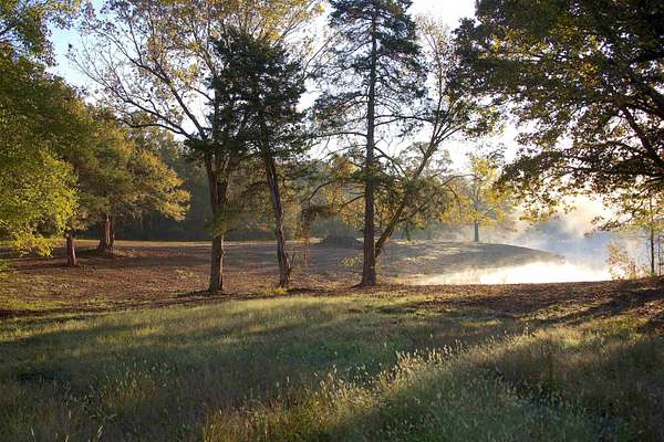 19.6 Acres of Land for Sale in Moscow, Tennessee