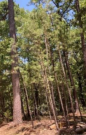 9.86 Acres of Residential Land for Sale in Antlers, Oklahoma