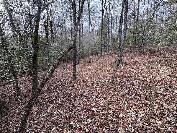 Residential Land for Sale in Murphy, North Carolina
