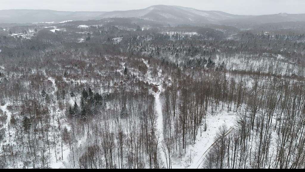 60.6 Acres of Recreational Land for Sale in Danese, West Virginia