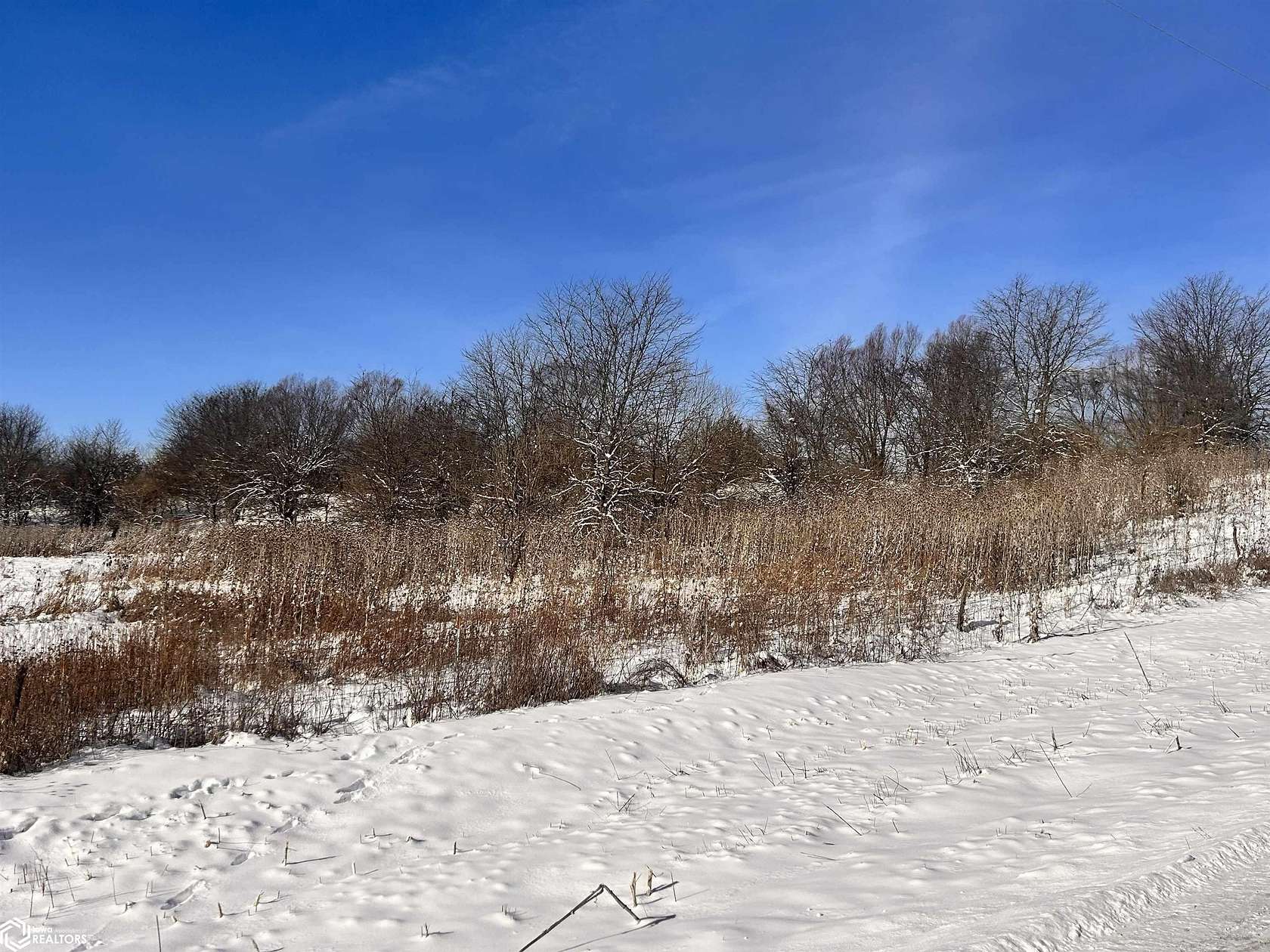 10 Acres of Land for Sale in Bloomfield, Iowa