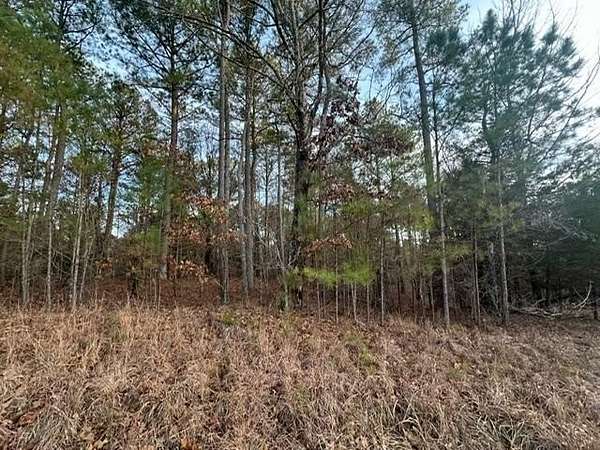 2 Acres of Land for Sale in Oxford, Mississippi