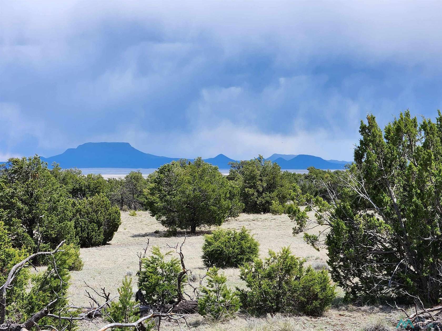 11.5 Acres of Land for Sale in Quemado, New Mexico