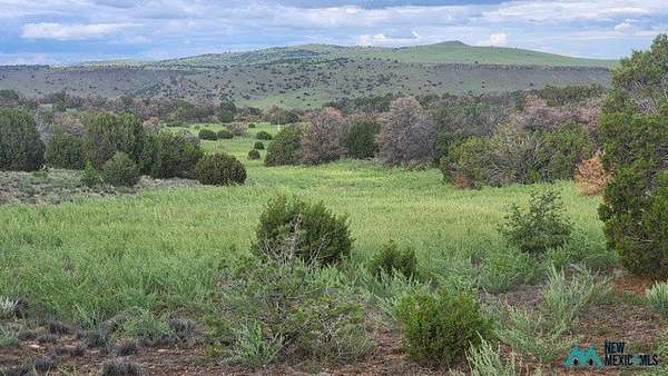 9.8 Acres of Land for Sale in Quemado, New Mexico
