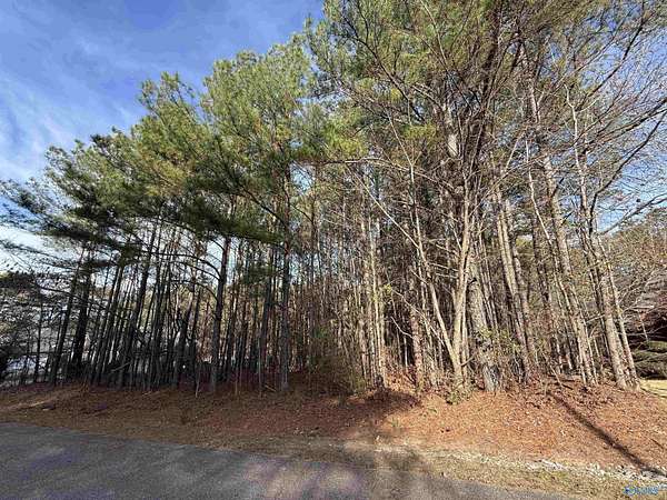 0.47 Acres of Land for Sale in Rainbow City, Alabama