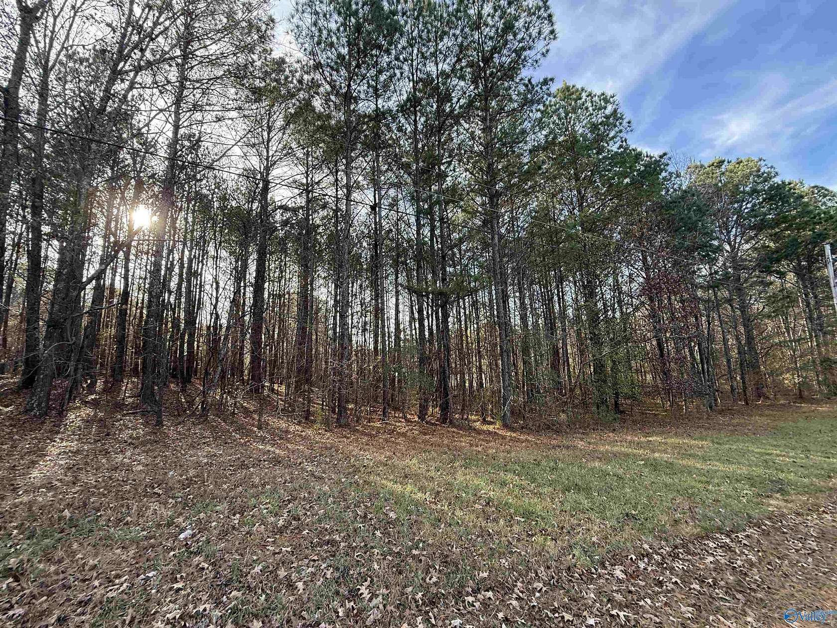 0.47 Acres of Land for Sale in Rainbow City, Alabama