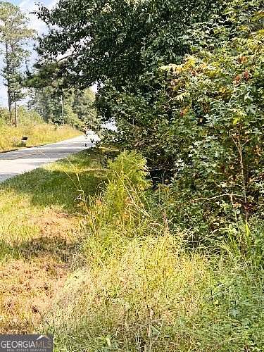 51.2 Acres of Land for Sale in Stockbridge, Georgia