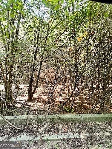 51.2 Acres of Land for Sale in Stockbridge, Georgia