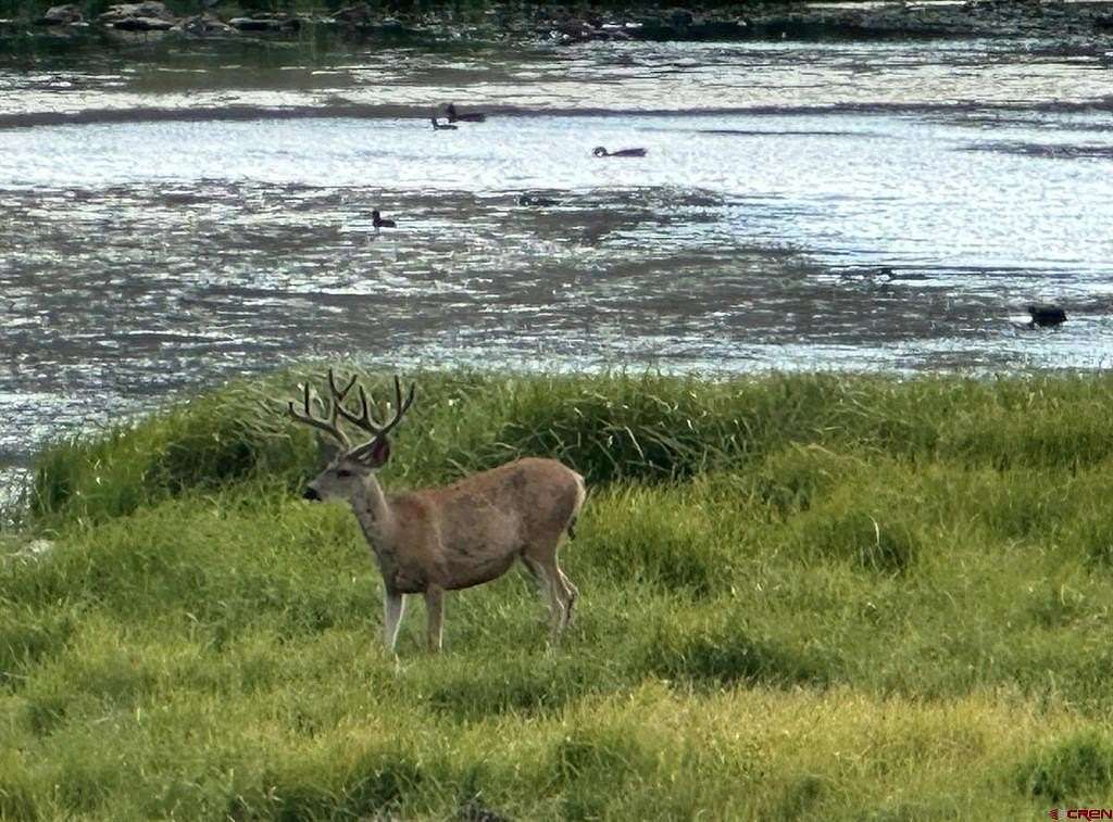 2.8 Acres of Residential Land for Sale in Powderhorn, Colorado