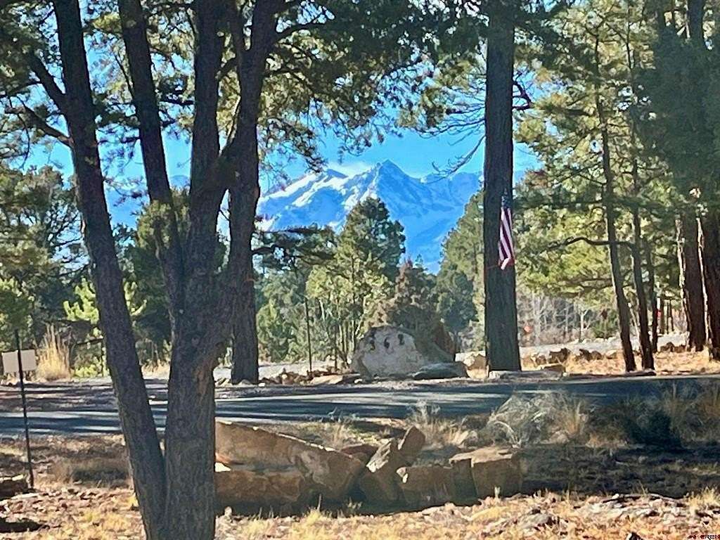 0.96 Acres of Residential Land for Sale in Ridgway, Colorado