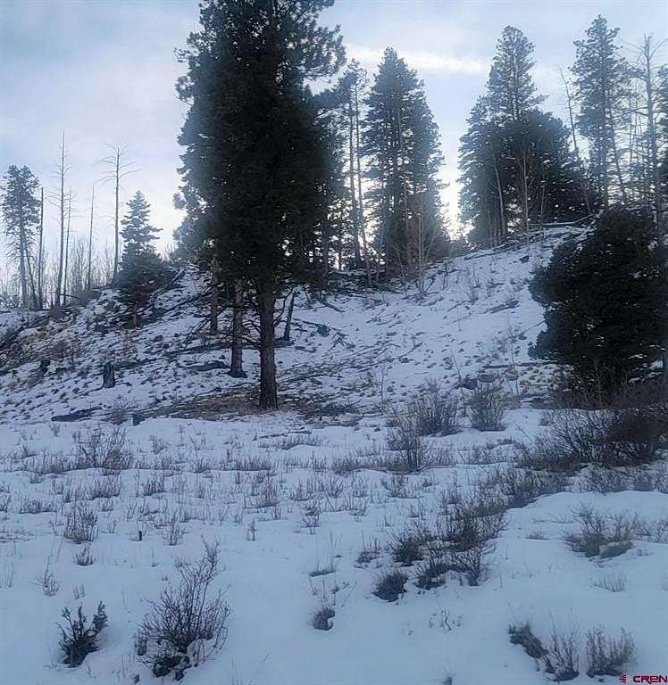 6 Acres of Residential Land for Sale in South Fork, Colorado