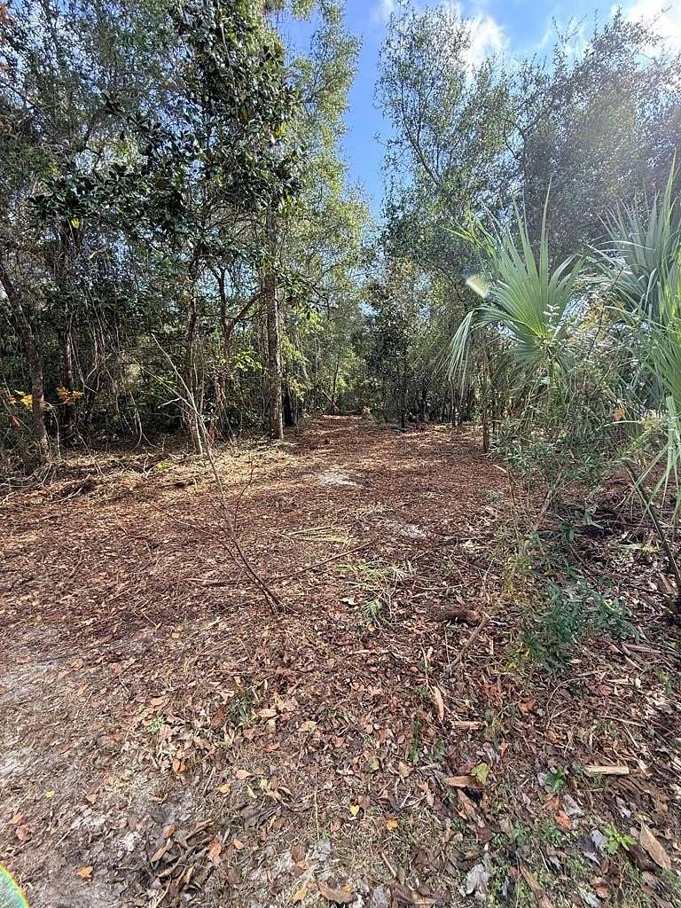 0.21 Acres of Residential Land for Sale in Lanark Village, Florida