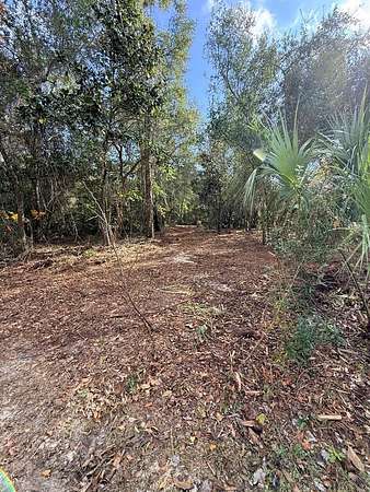 0.21 Acres of Residential Land for Sale in Lanark Village, Florida