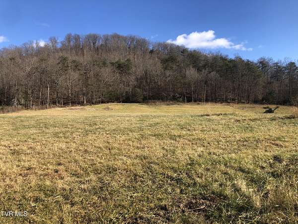 6.39 Acres of Land for Sale in Afton, Tennessee