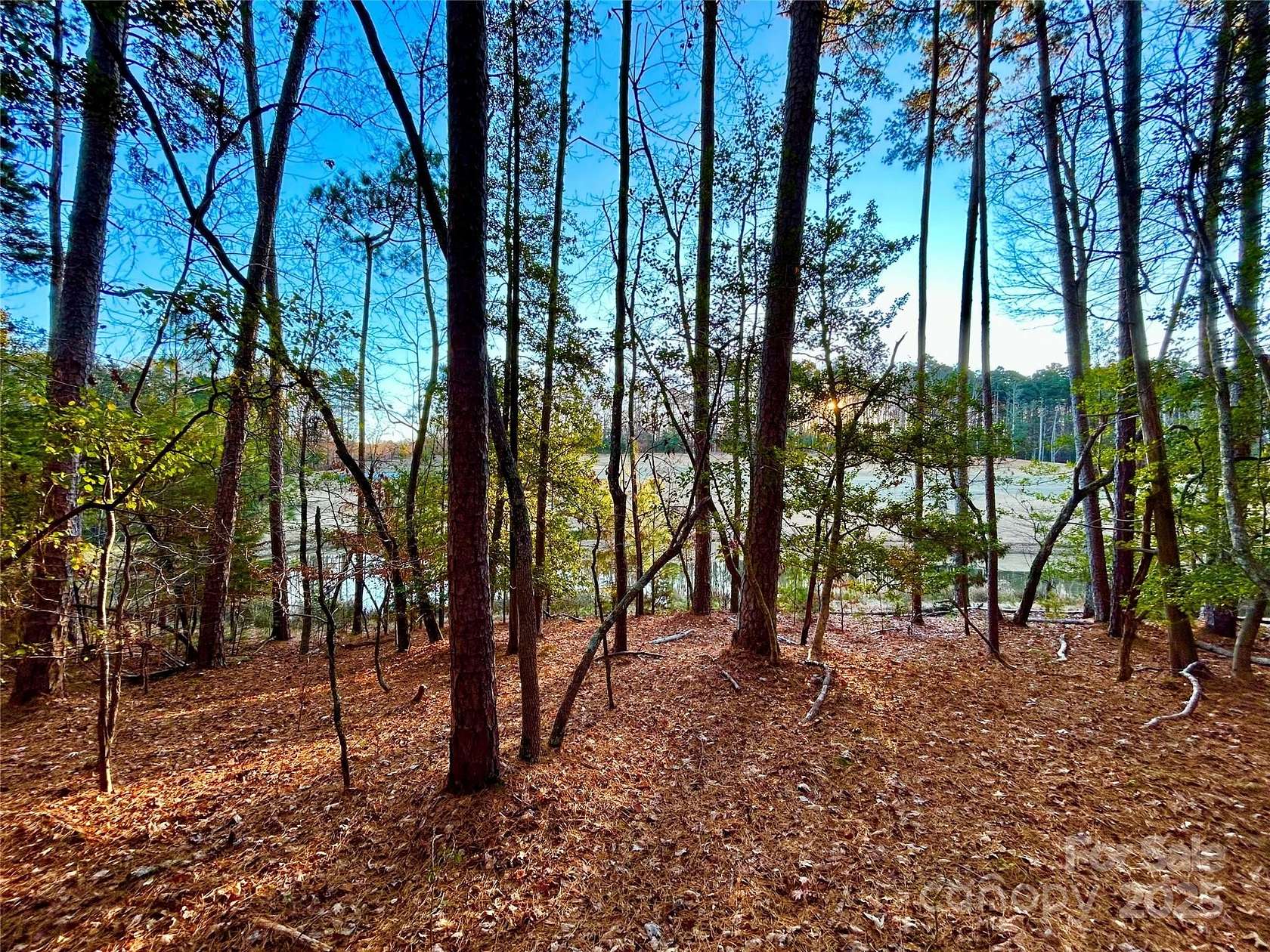 0.71 Acres of Residential Land for Sale in Mount Gilead, North Carolina