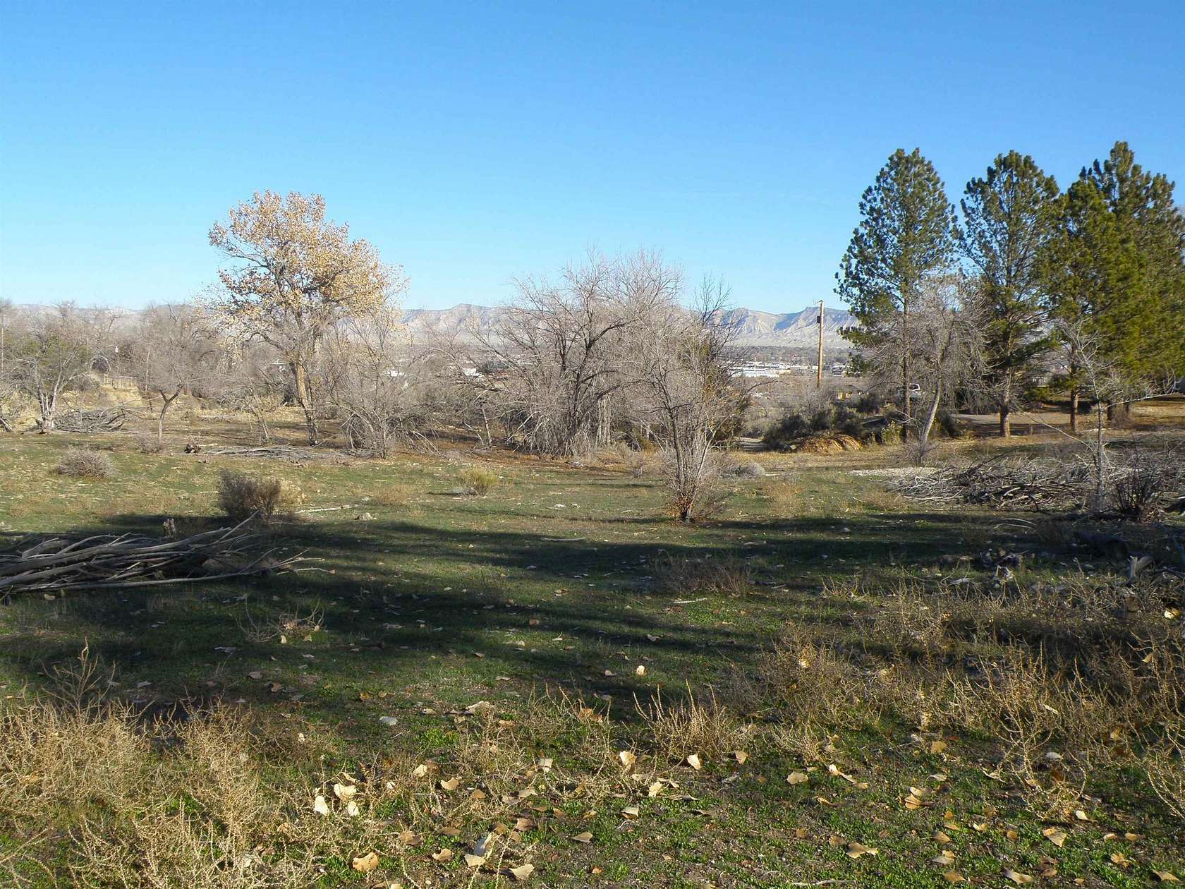 19.8 Acres of Improved Land for Sale in Grand Junction, Colorado