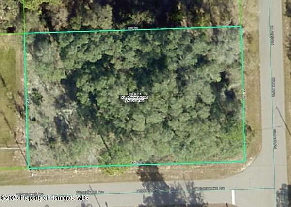0.5 Acres of Residential Land for Sale in Weeki Wachee, Florida