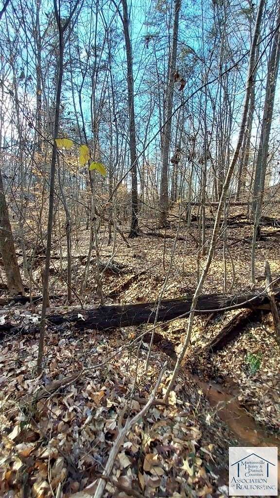 0.4 Acres of Land for Sale in Bassett, Virginia