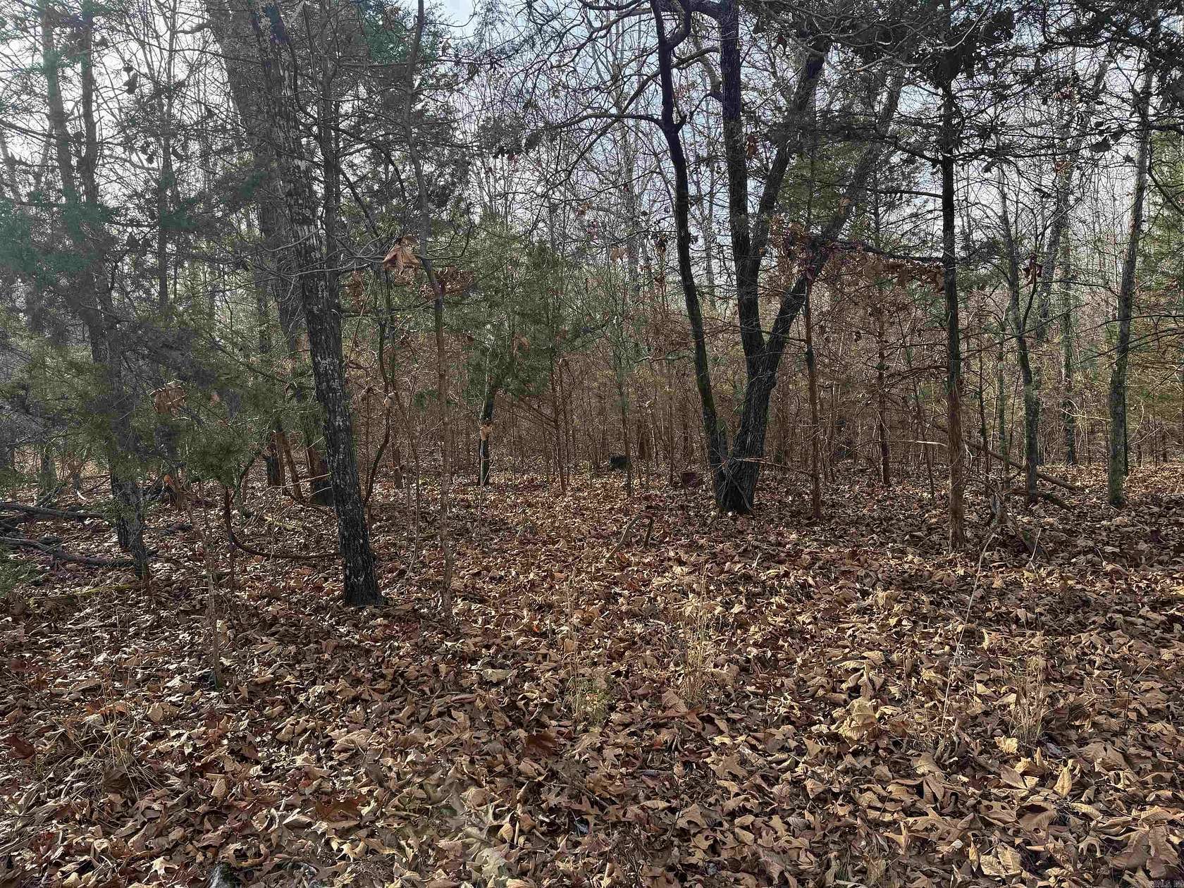 37.5 Acres of Land for Sale in Lead Hill, Arkansas