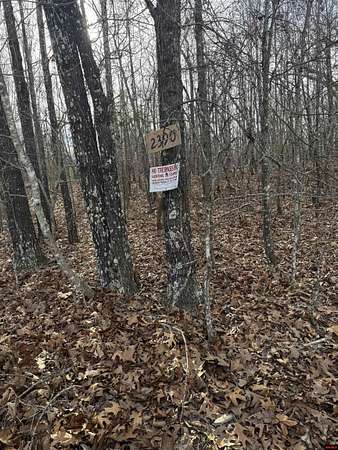 37.5 Acres of Land for Sale in Lead Hill, Arkansas