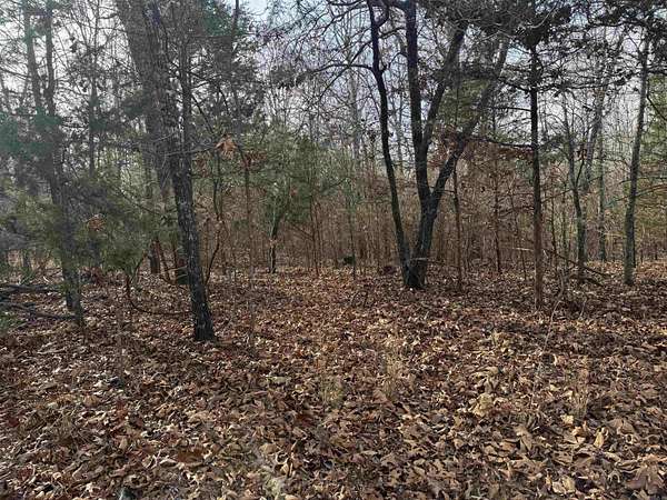 37.5 Acres of Land for Sale in Lead Hill, Arkansas