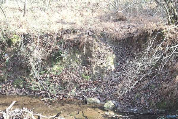 27.5 Acres of Land for Sale in Albertville, Alabama