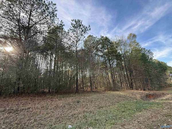 0.47 Acres of Land for Sale in Rainbow City, Alabama