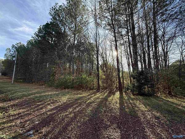 0.56 Acres of Land for Sale in Rainbow City, Alabama