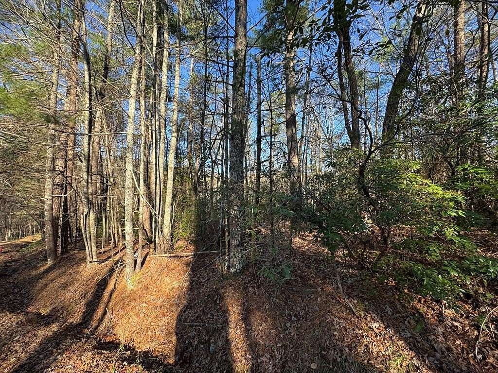0.57 Acres of Residential Land for Sale in Ellijay, Georgia