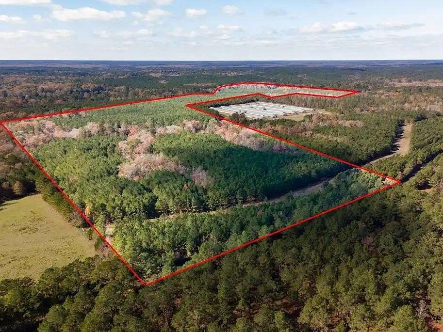 171 Acres of Recreational Land for Sale in San Augustine, Texas